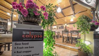 calypso restaurant zante zakynthos