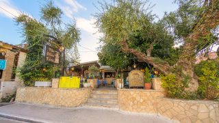 the olive tree taverna zante zakynthos